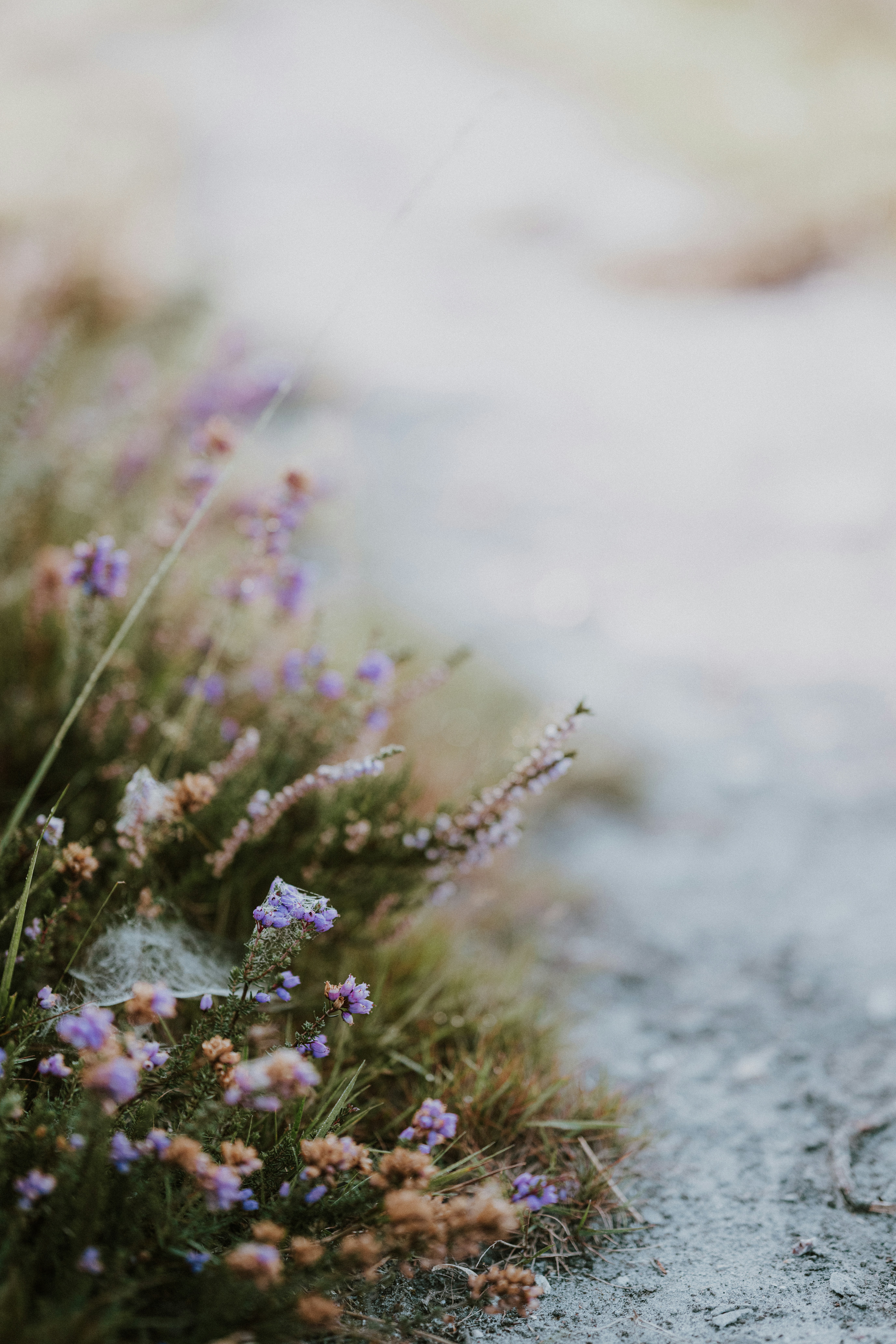 Photo by anniespratt