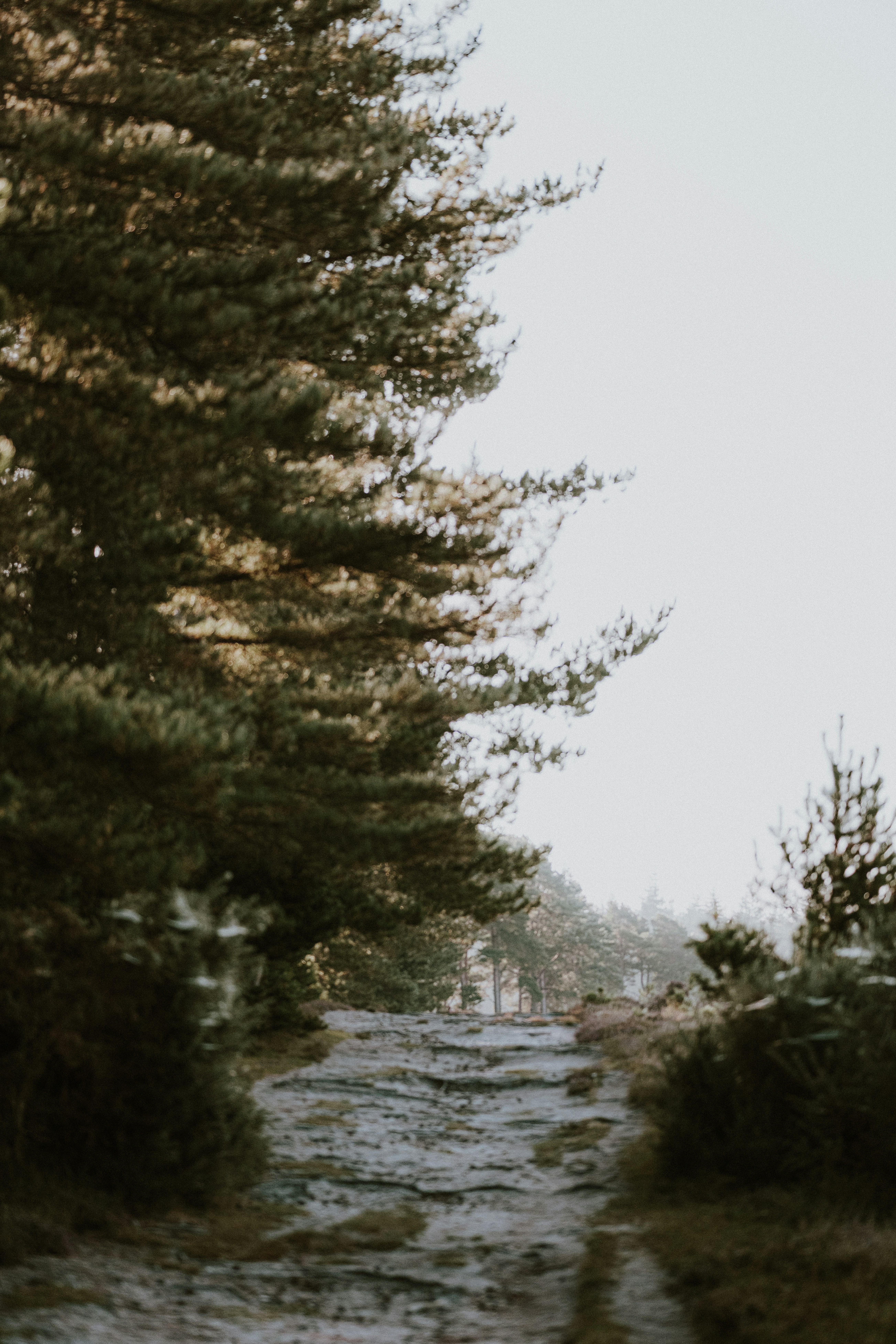 Photo by anniespratt