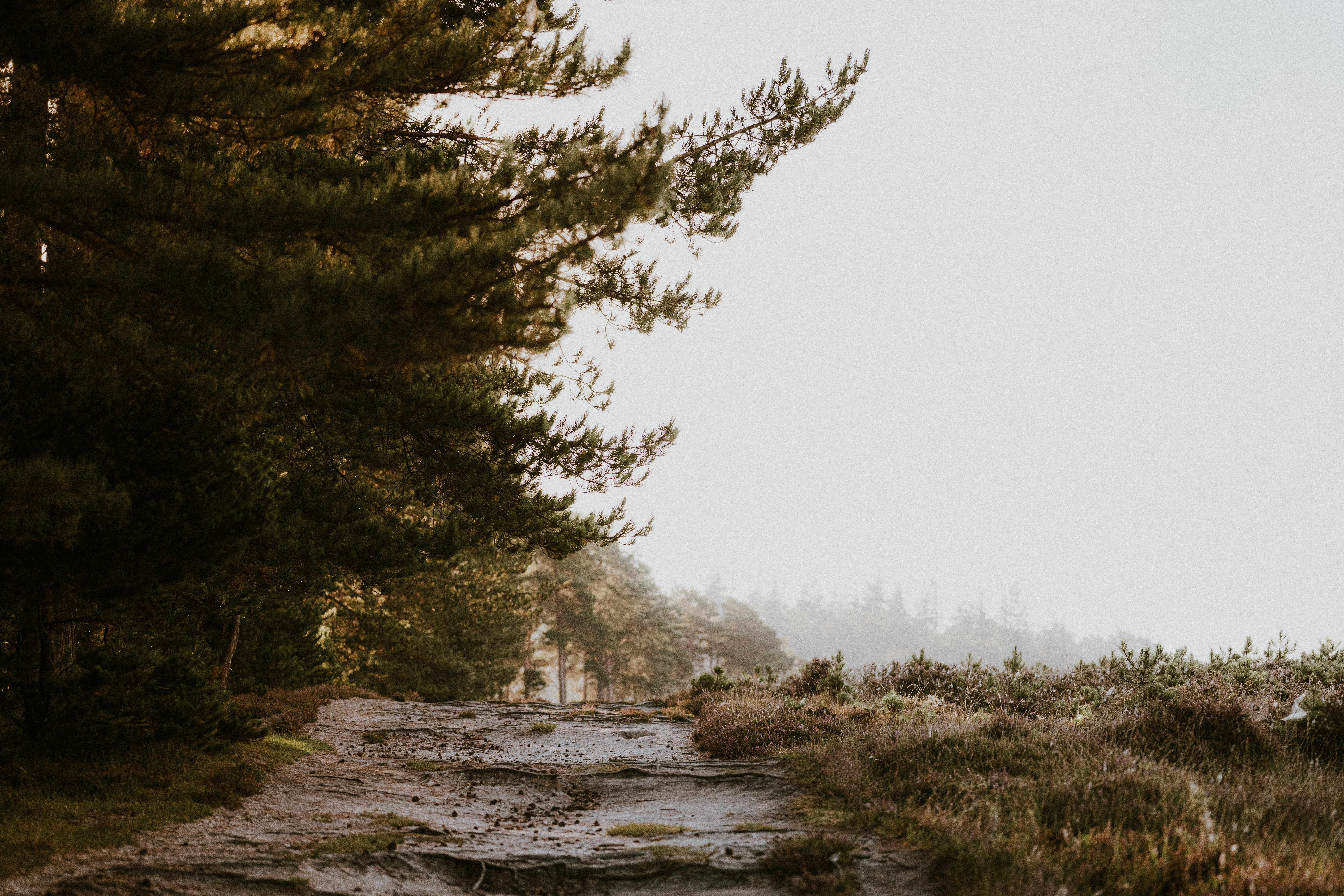 Photo by anniespratt