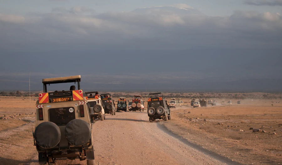 Safari vehicles on a Kenyan game trail