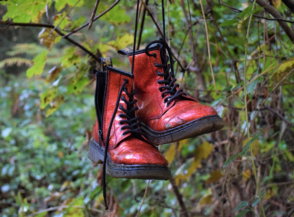 a pair of red boots hanging from a tree