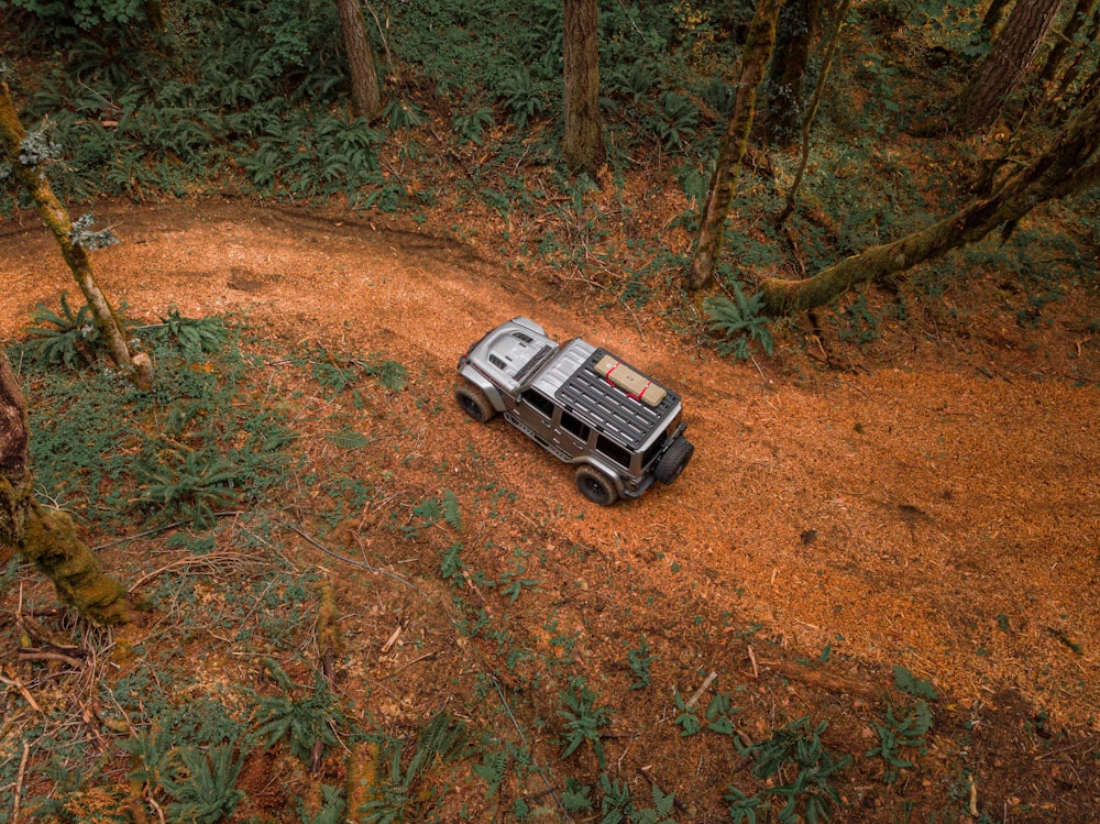 a jeep driving down a dirt road in the woods