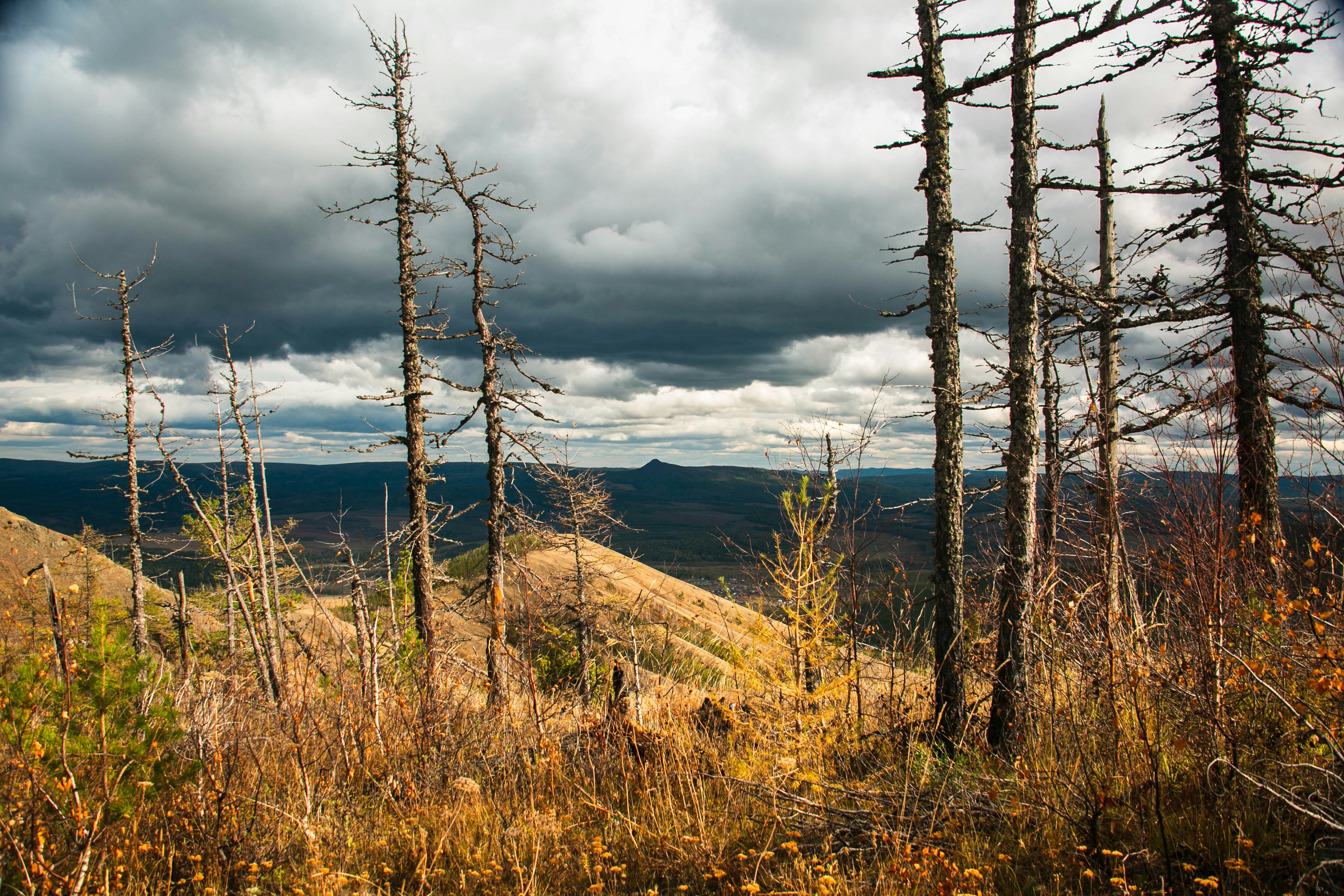 Photo by tikieva_event