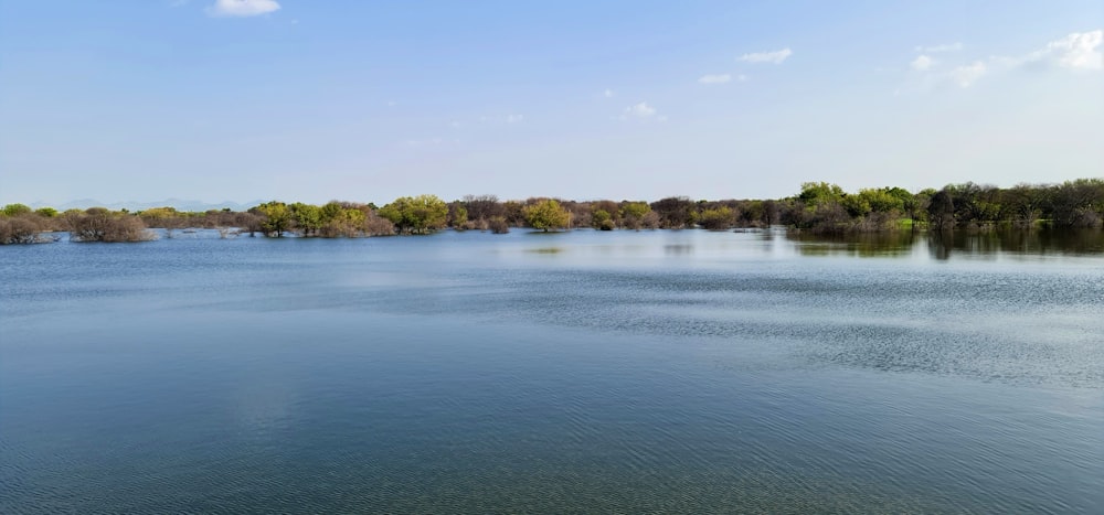 a large body of water surrounded by trees