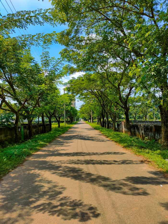 Village Road Pavement