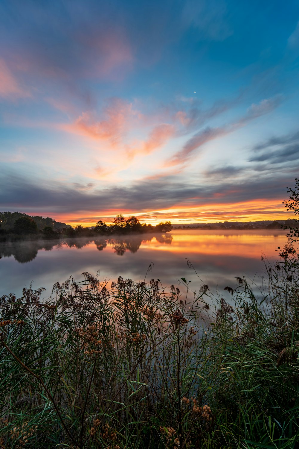 o sol está se pondo sobre um lago com árvores em primeiro plano