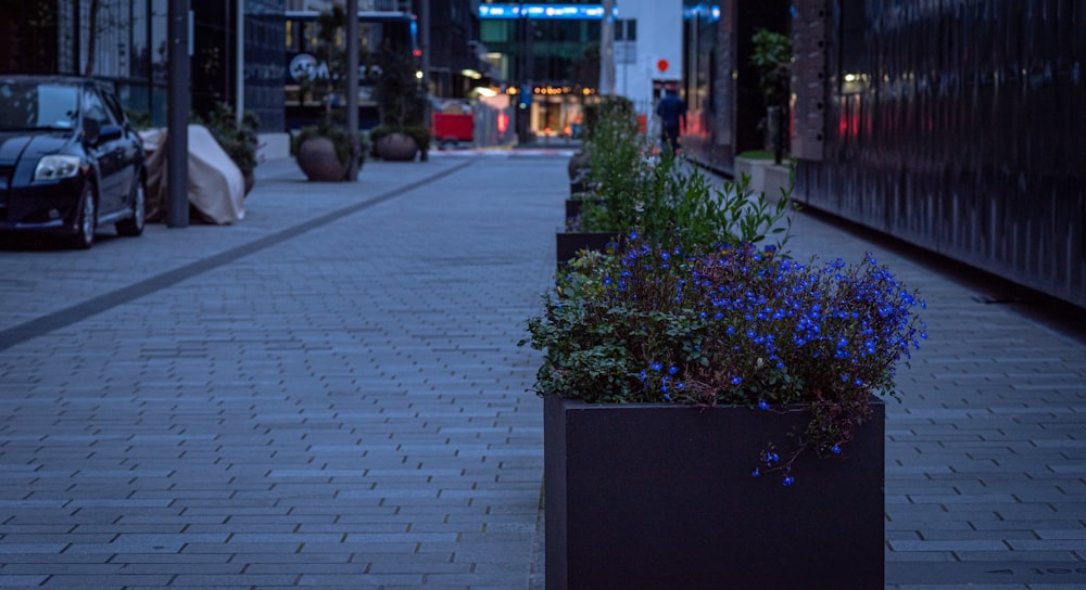 a planter filled with blue flowers sitting on a sidewalk