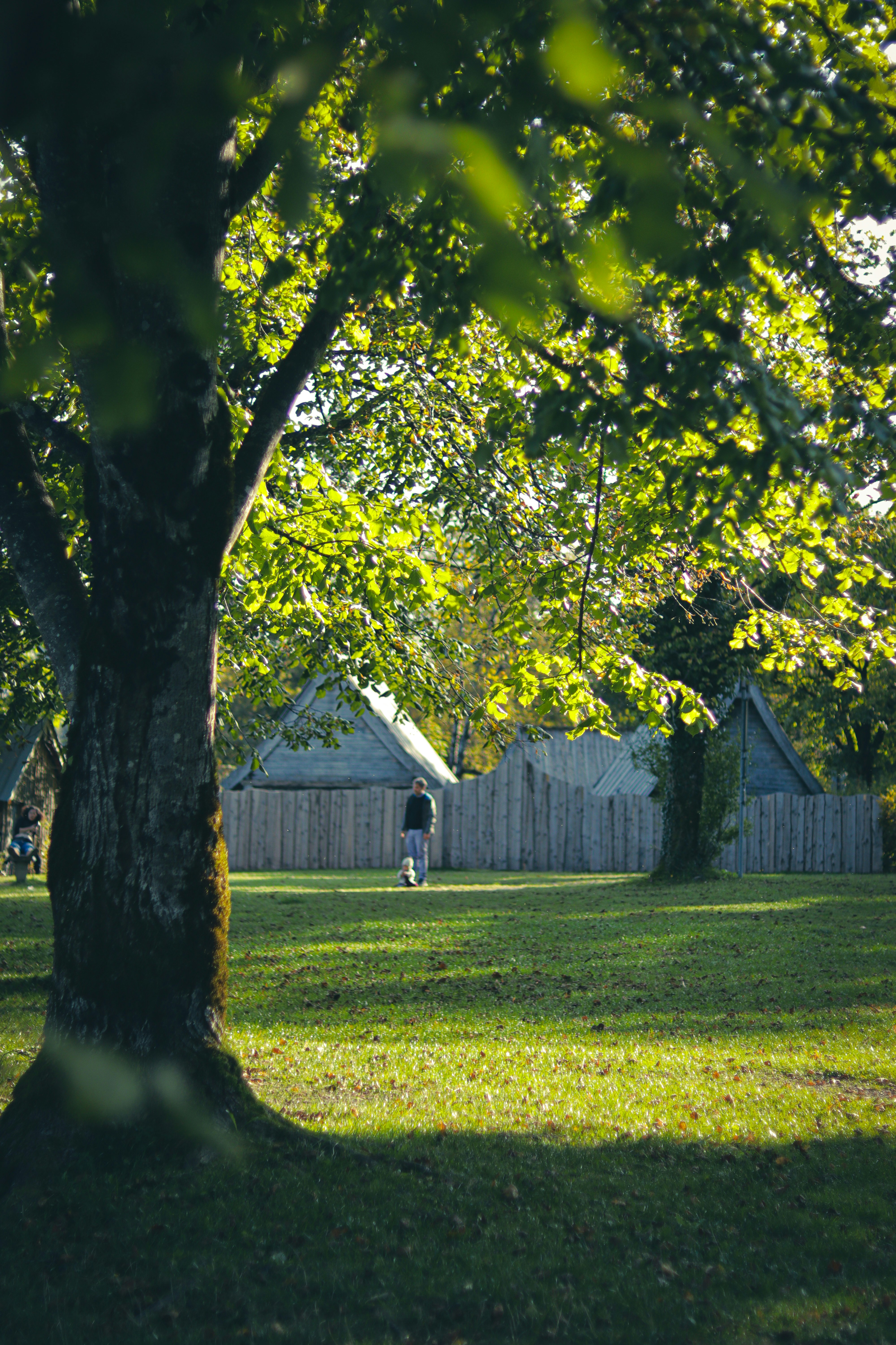 Photo by santosh_ghimire2021