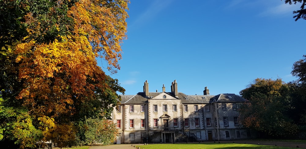 a large building with a lot of trees in front of it