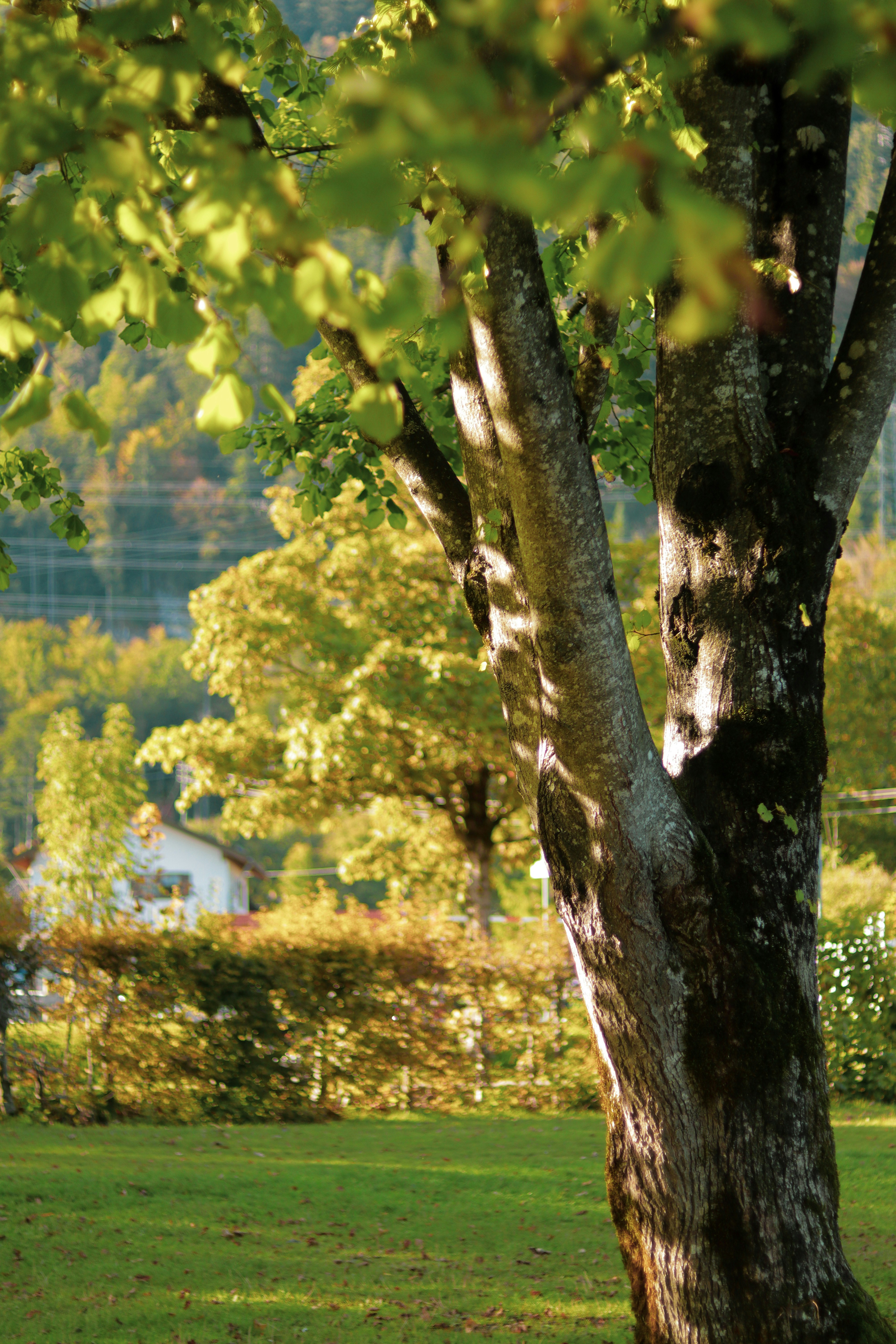 Photo by santosh_ghimire2021