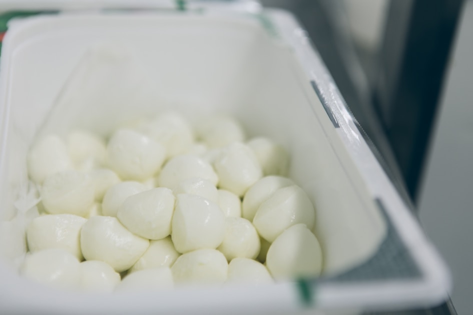 Boules de mozzarella di bufala fraîche dans leur saumure
