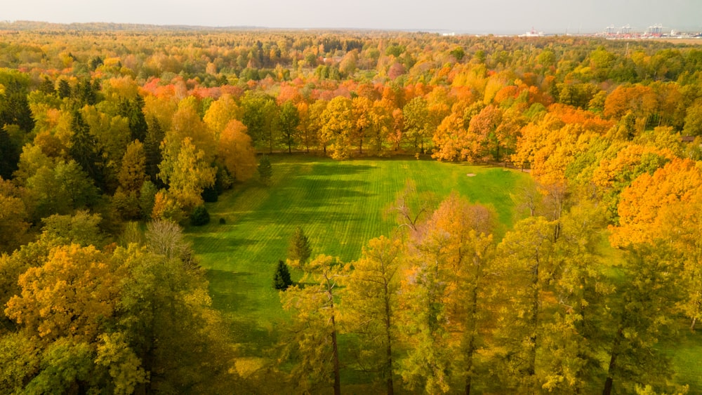 uma vista aérea de um campo verde exuberante cercado por árvores