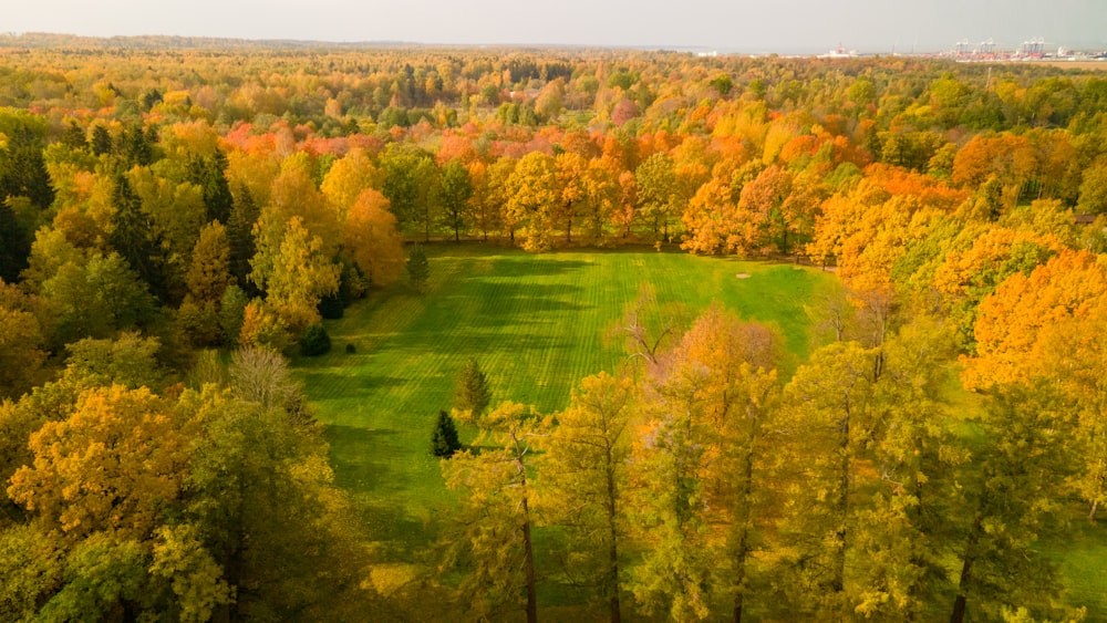 an aerial view of a lush green field surrounded by trees