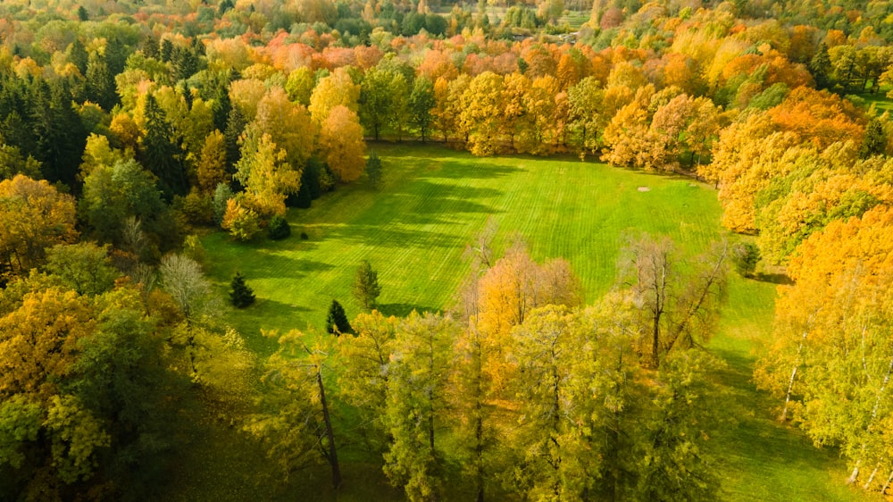 an aerial view of a lush green field surrounded by trees