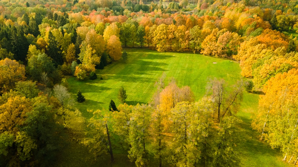 Una vista aérea de un exuberante campo verde rodeado de árboles