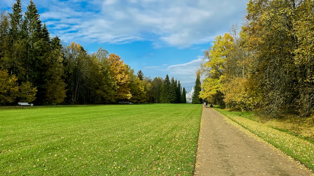 a dirt path in the middle of a grassy field