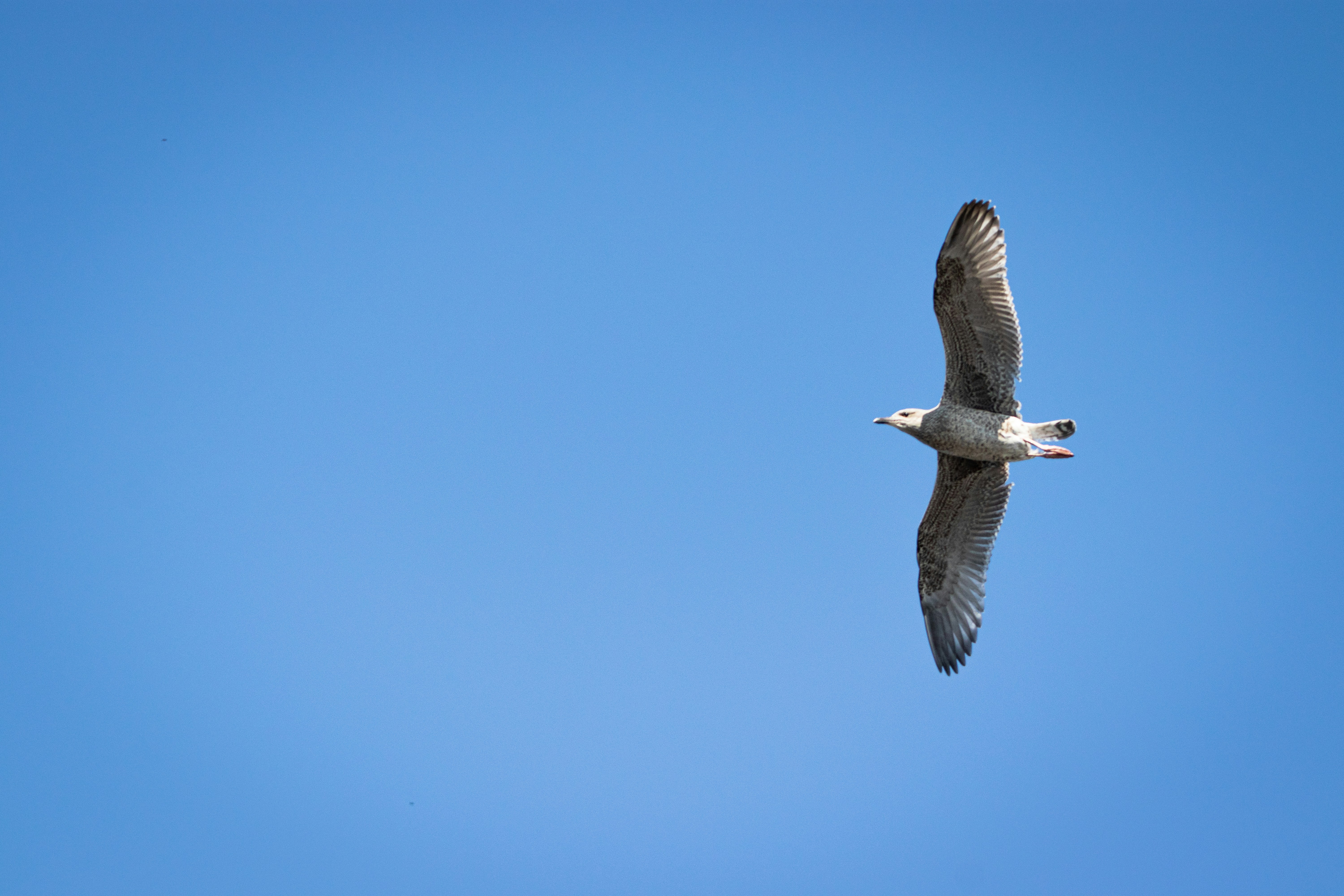 Photo by alpridephoto