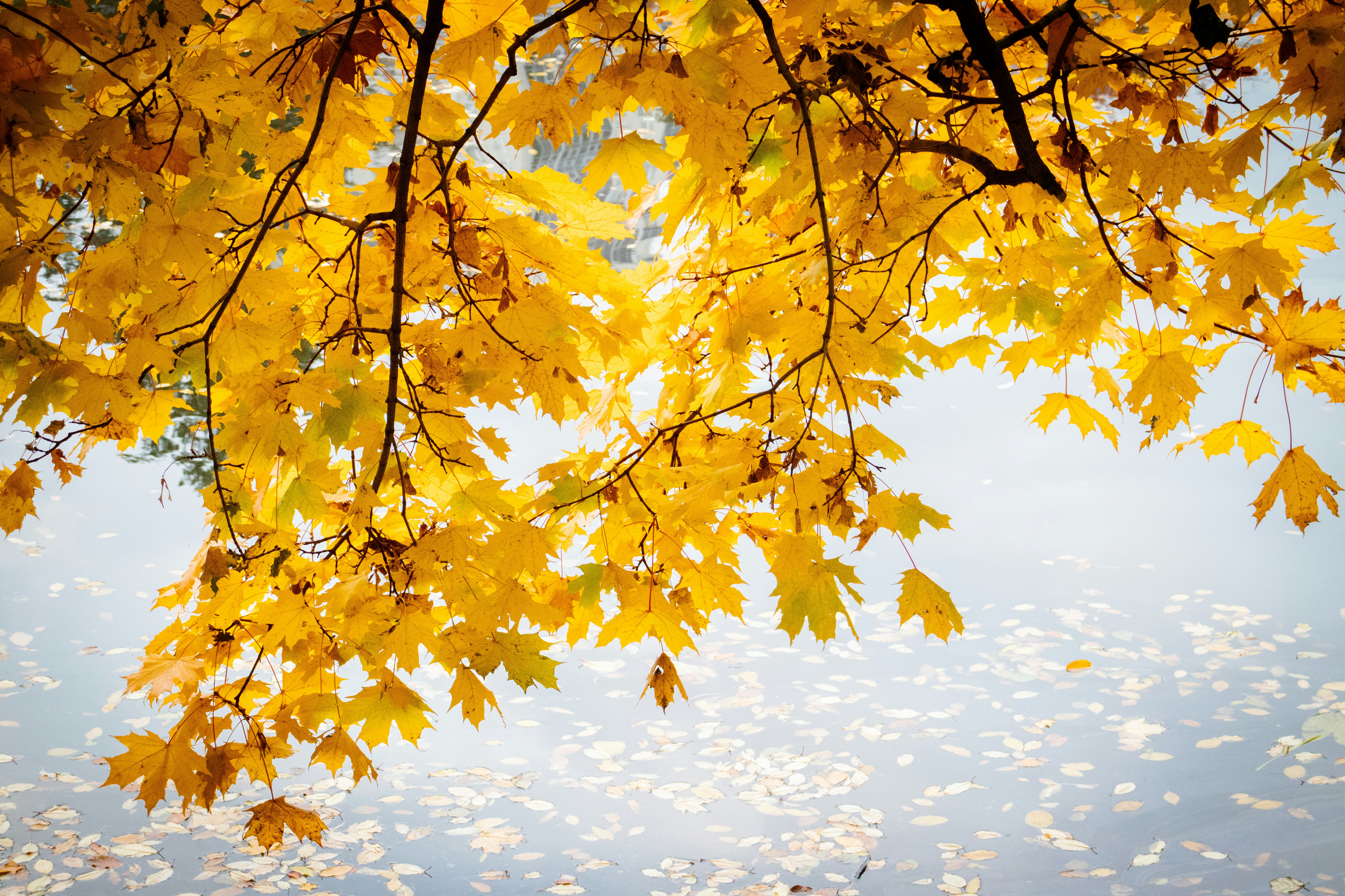 Photo by alpridephoto