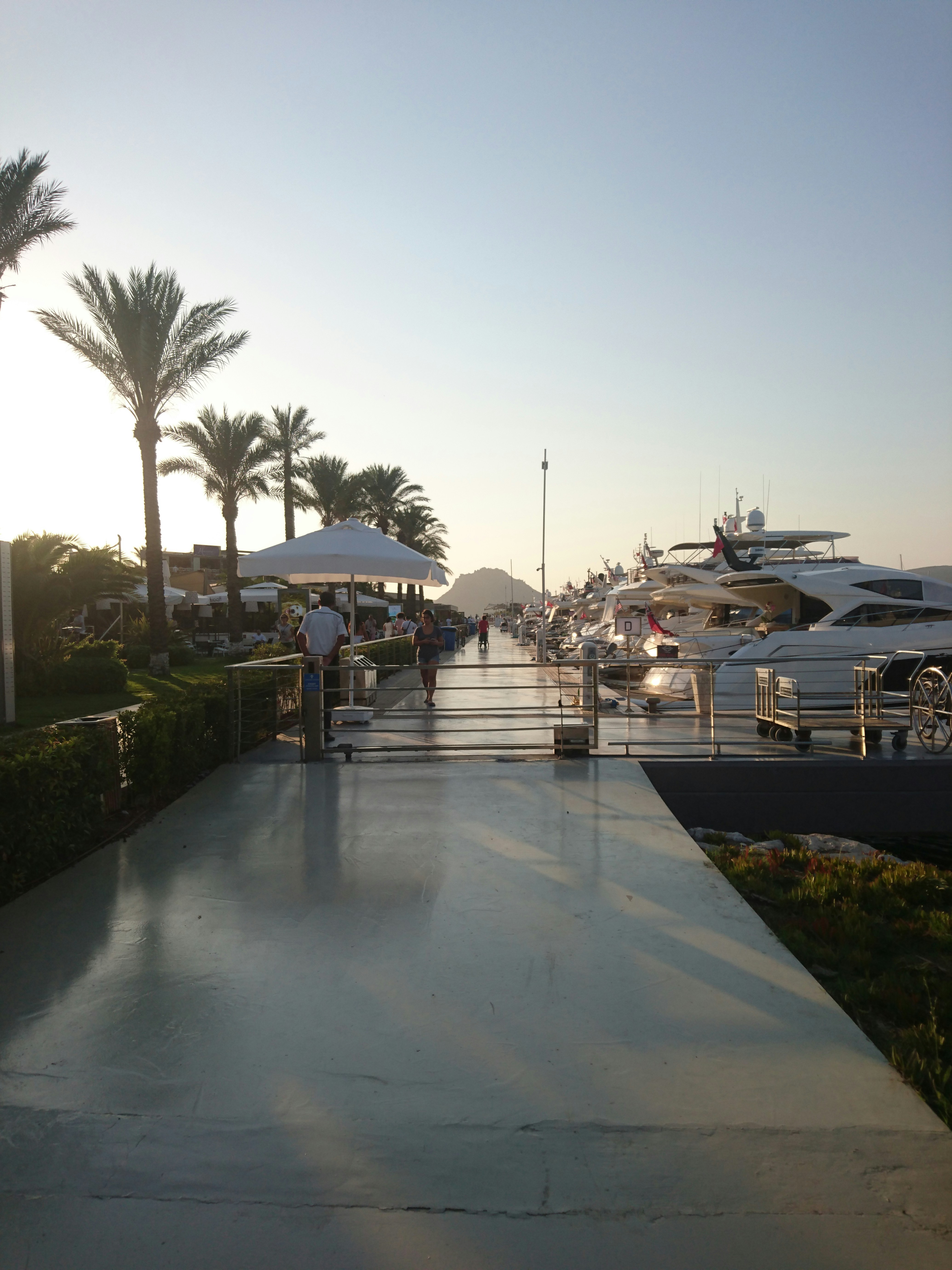 Luksuzne obalne nepremičnine v bližini Palm Jumeirah z razgledi na marino