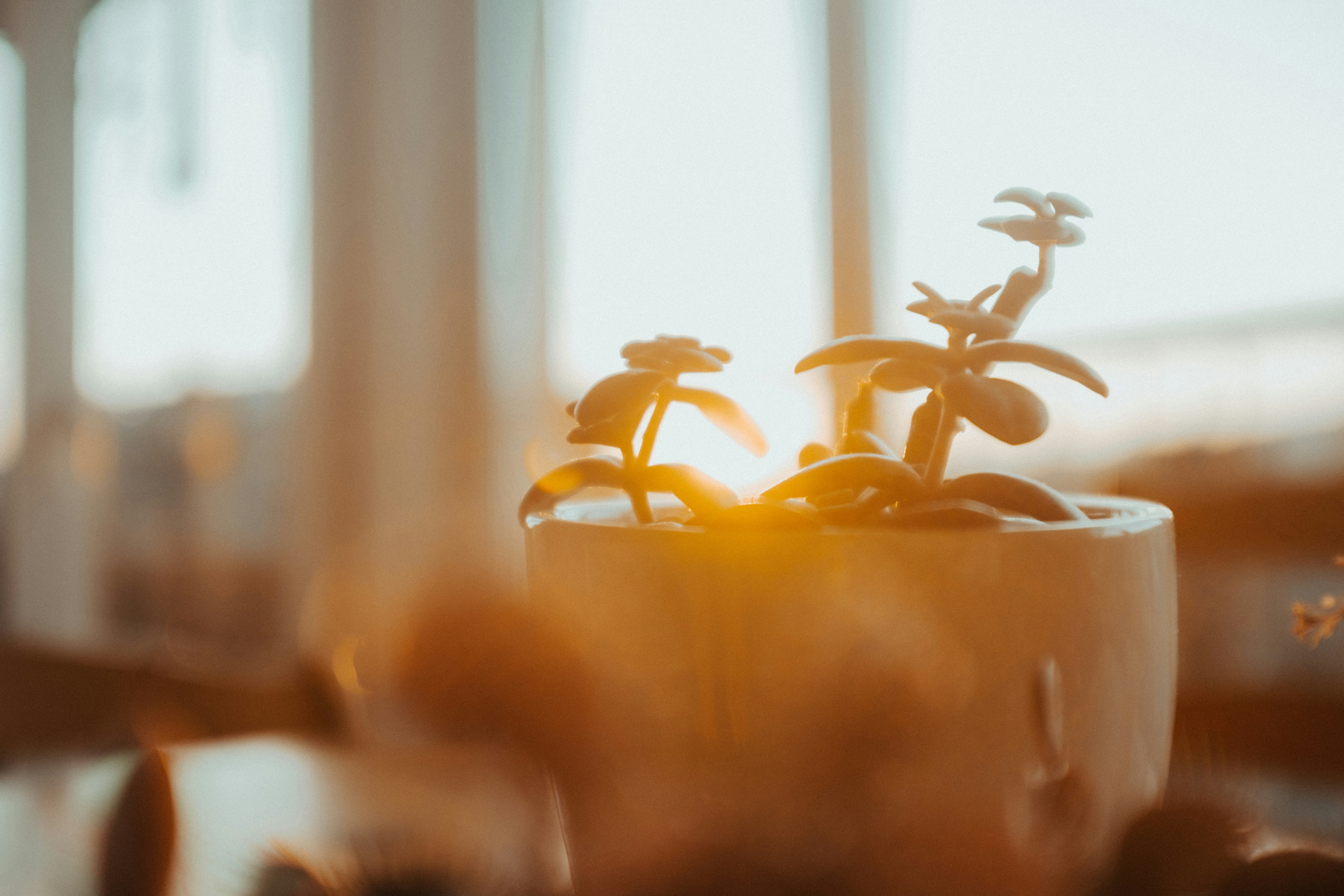 カップの中の植物のクローズアップ