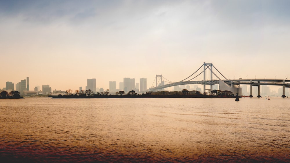 a bridge over a body of water with a city in the background