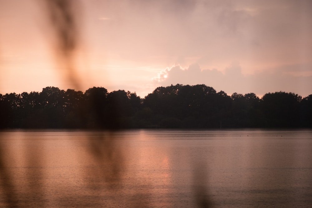 a body of water with trees in the background