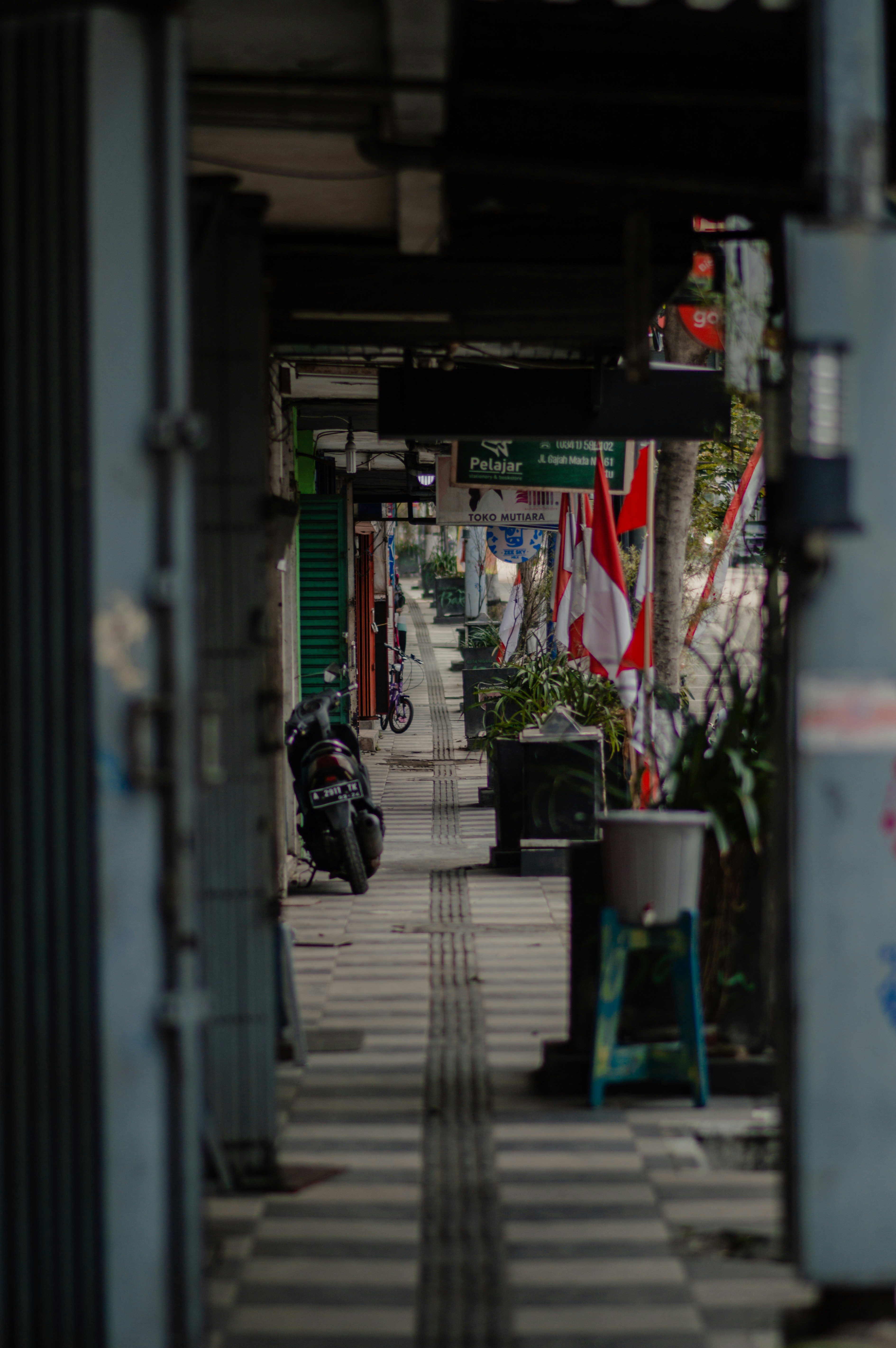 Photo by shot_ed