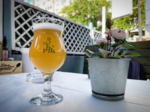 IPA Refrescante