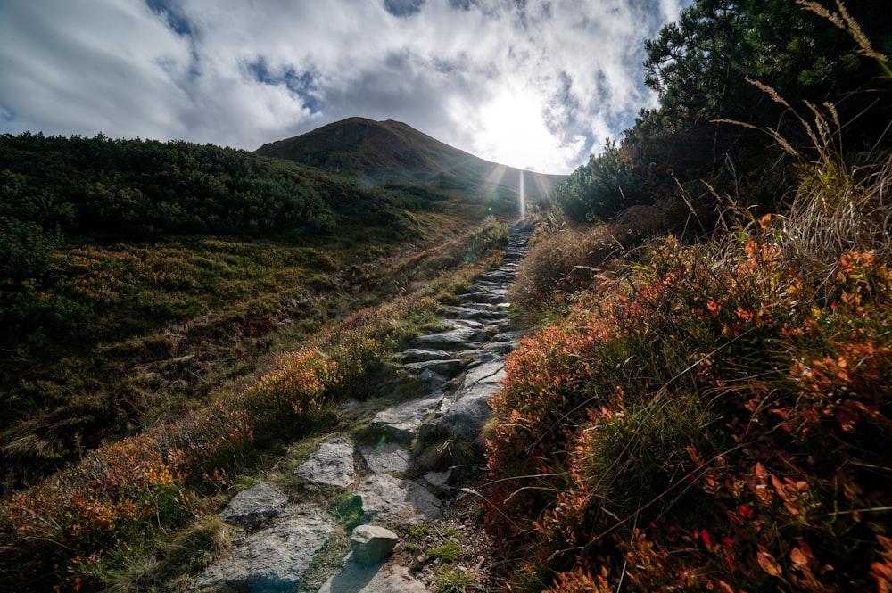 a rocky path leading up to a mountain