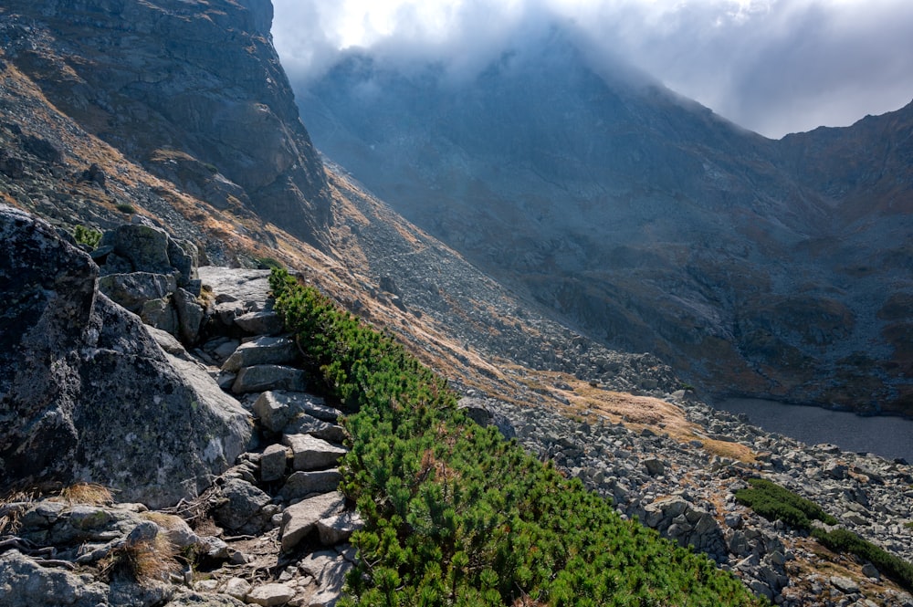 a view of a rocky mountain with green plants growing on it