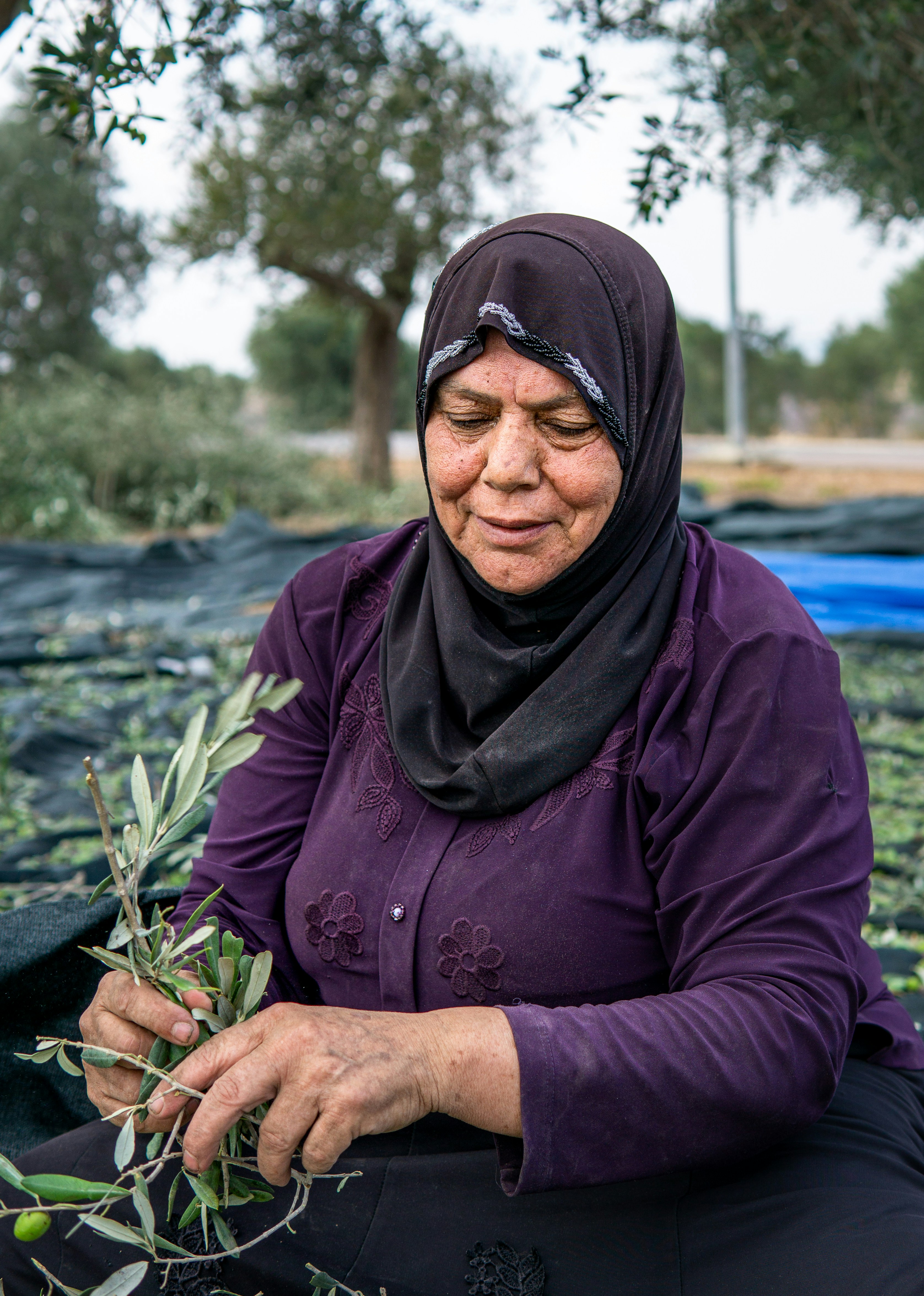 a woman sitting in a field holding a plant