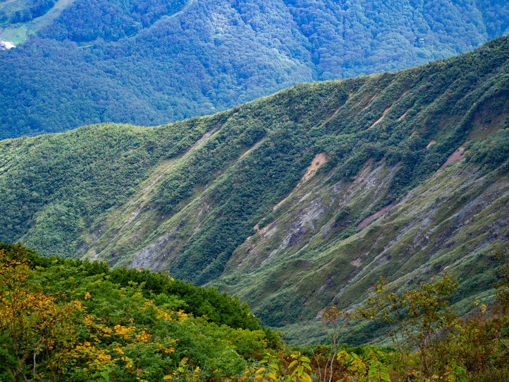 a view of a valley with a mountain in the background