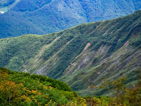 Hakuba: An Insider's Guide to Scenic Adventure