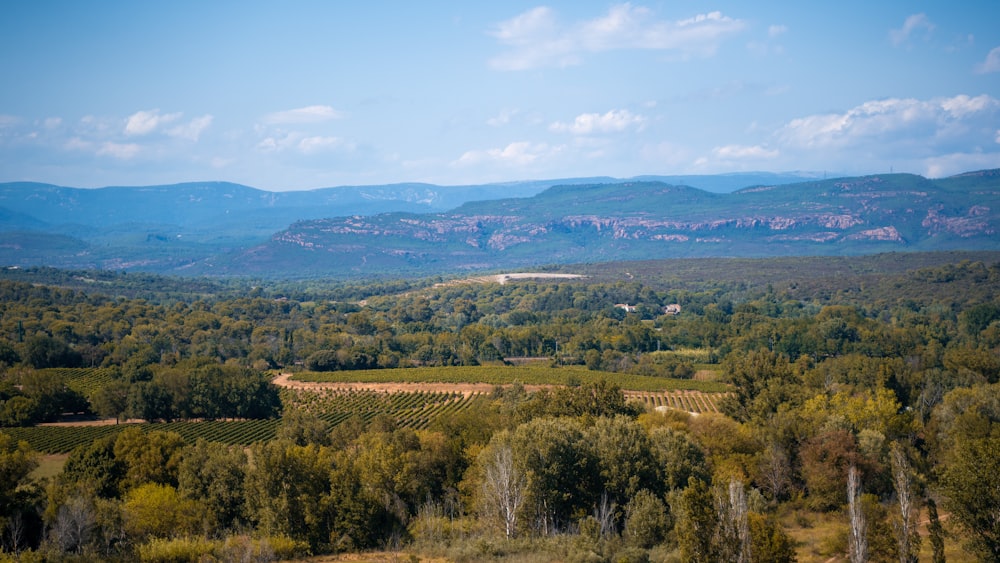 a scenic view of a valley with mountains in the background