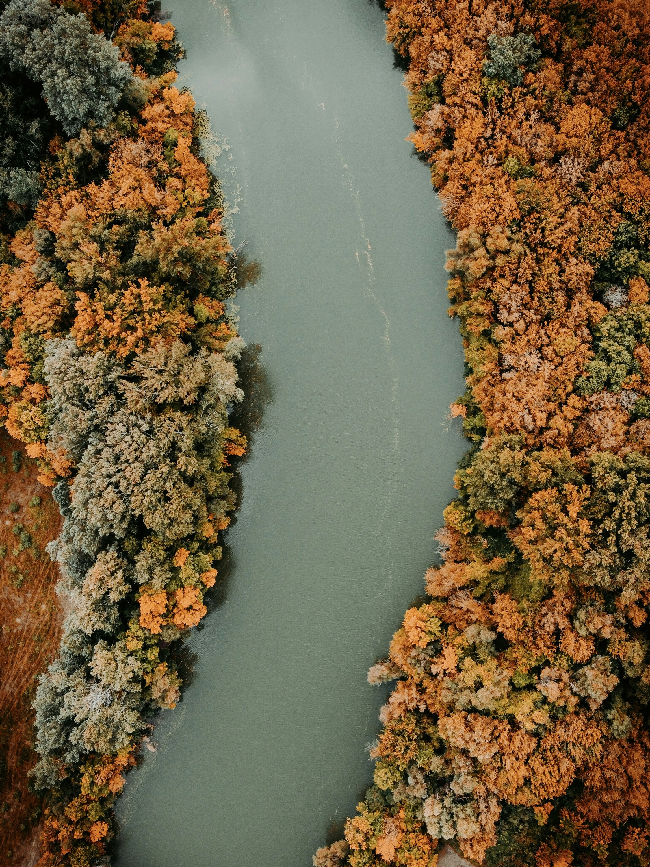 An aerial view of a river surrounded by trees photo – Free Forest Image ...