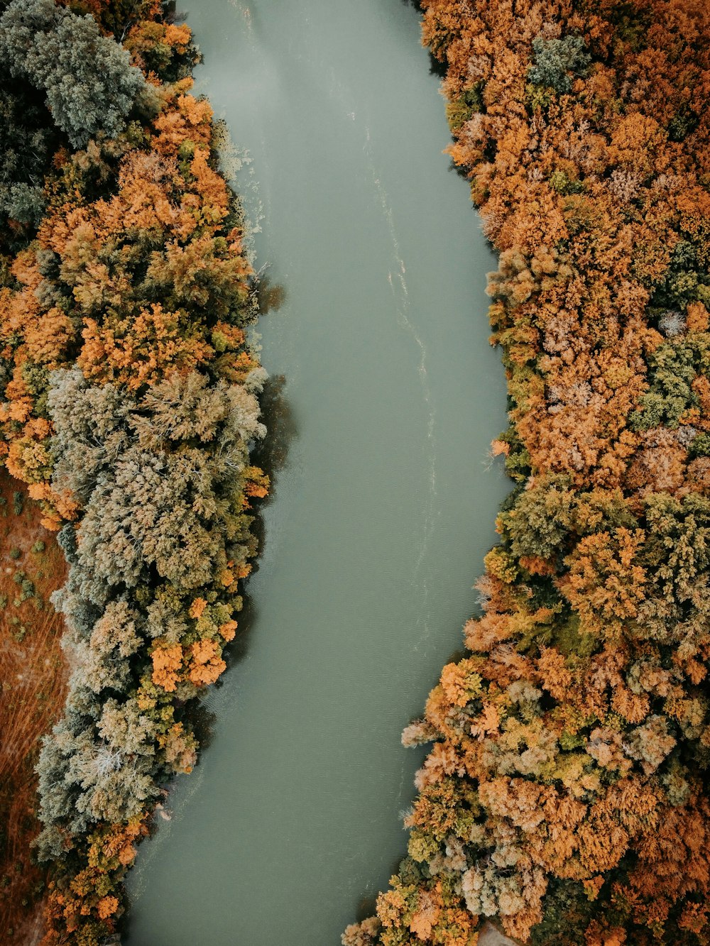 an aerial view of a river surrounded by trees