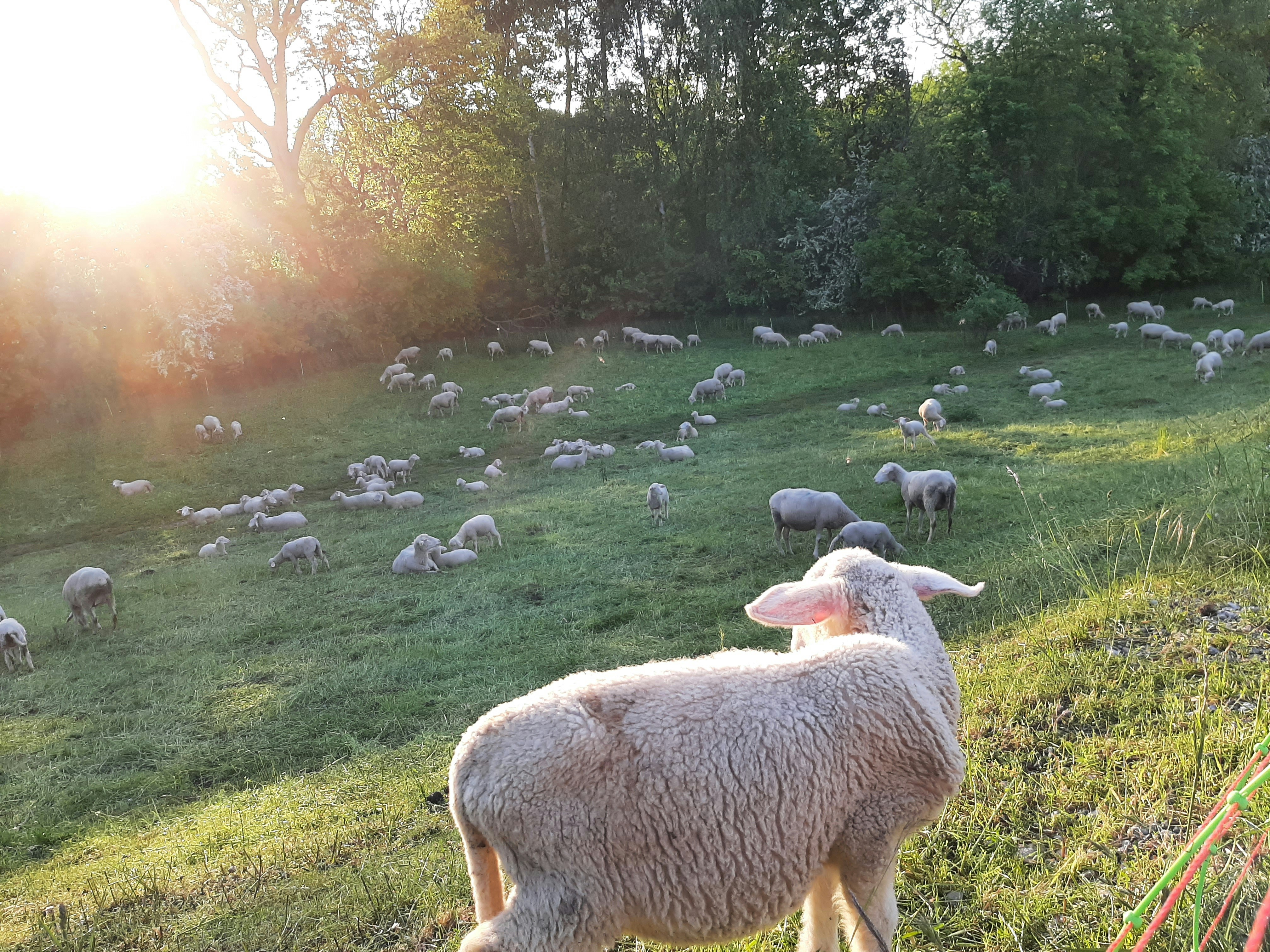 Photo by richardbaum2401