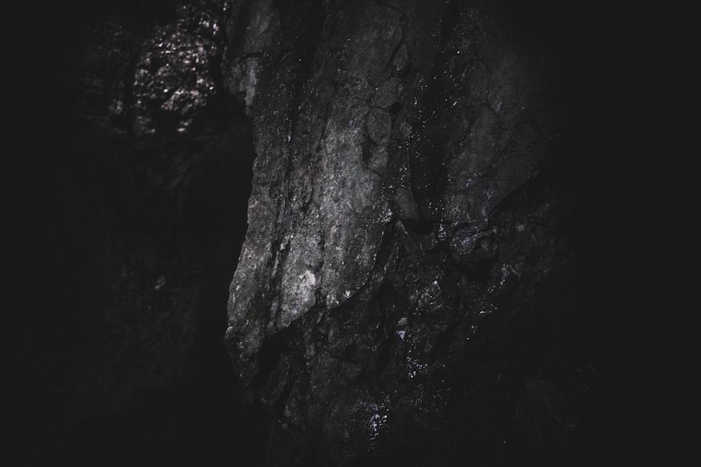 a black and white photo of a rock face