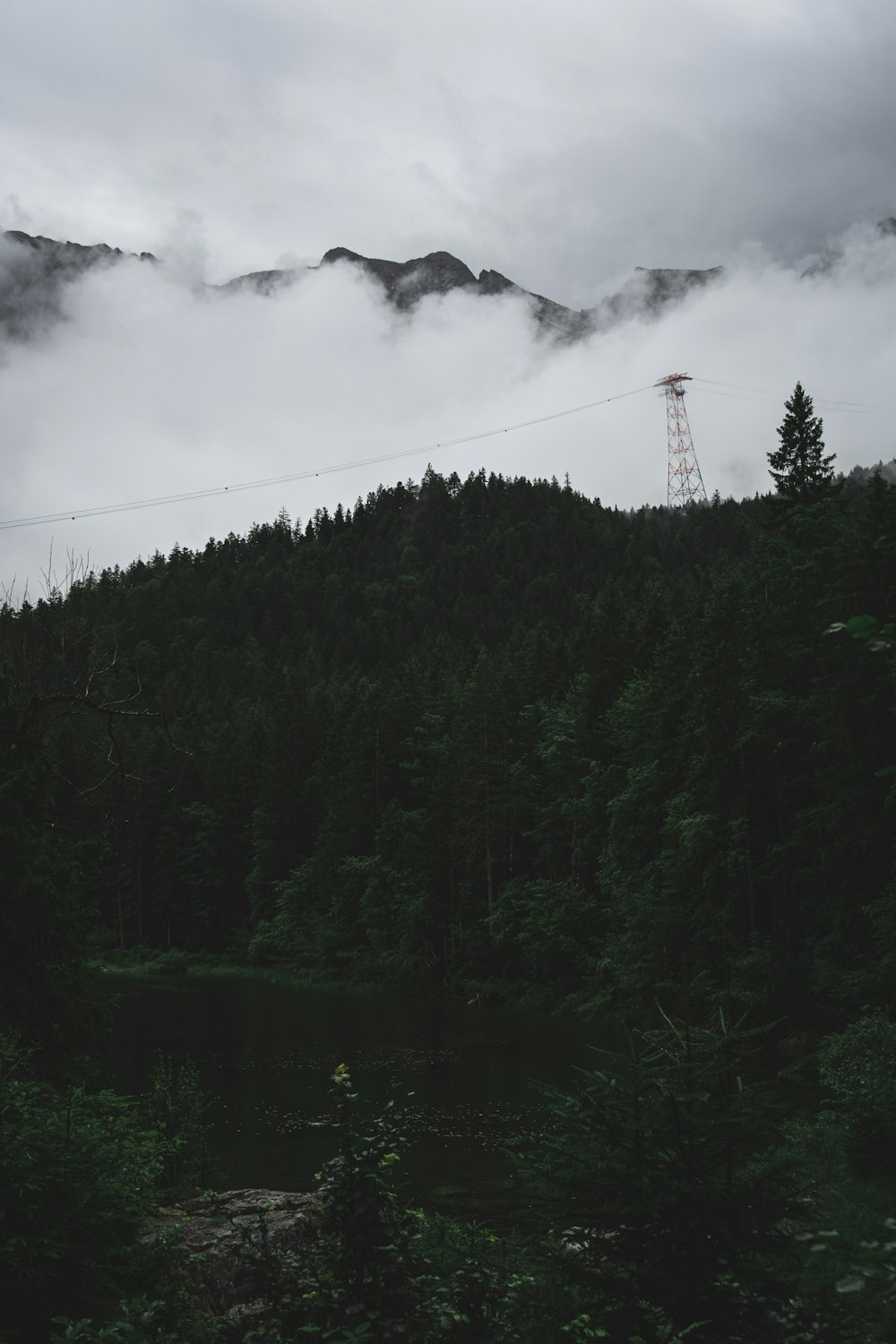 a foggy mountain with trees and a radio tower in the distance