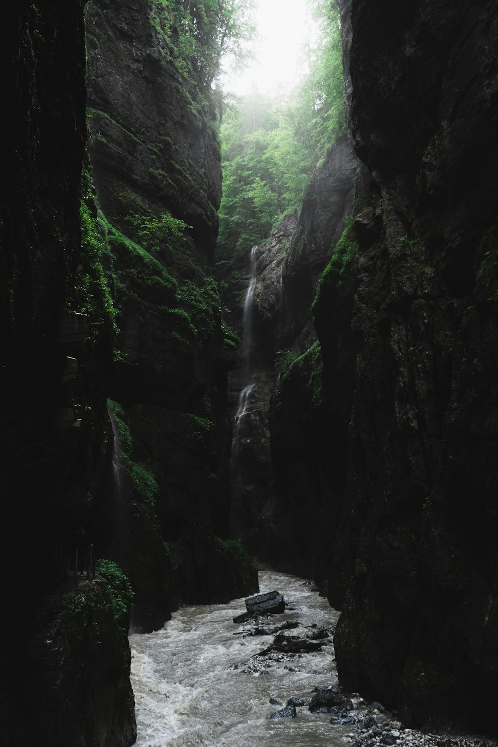 a river flowing through a lush green forest