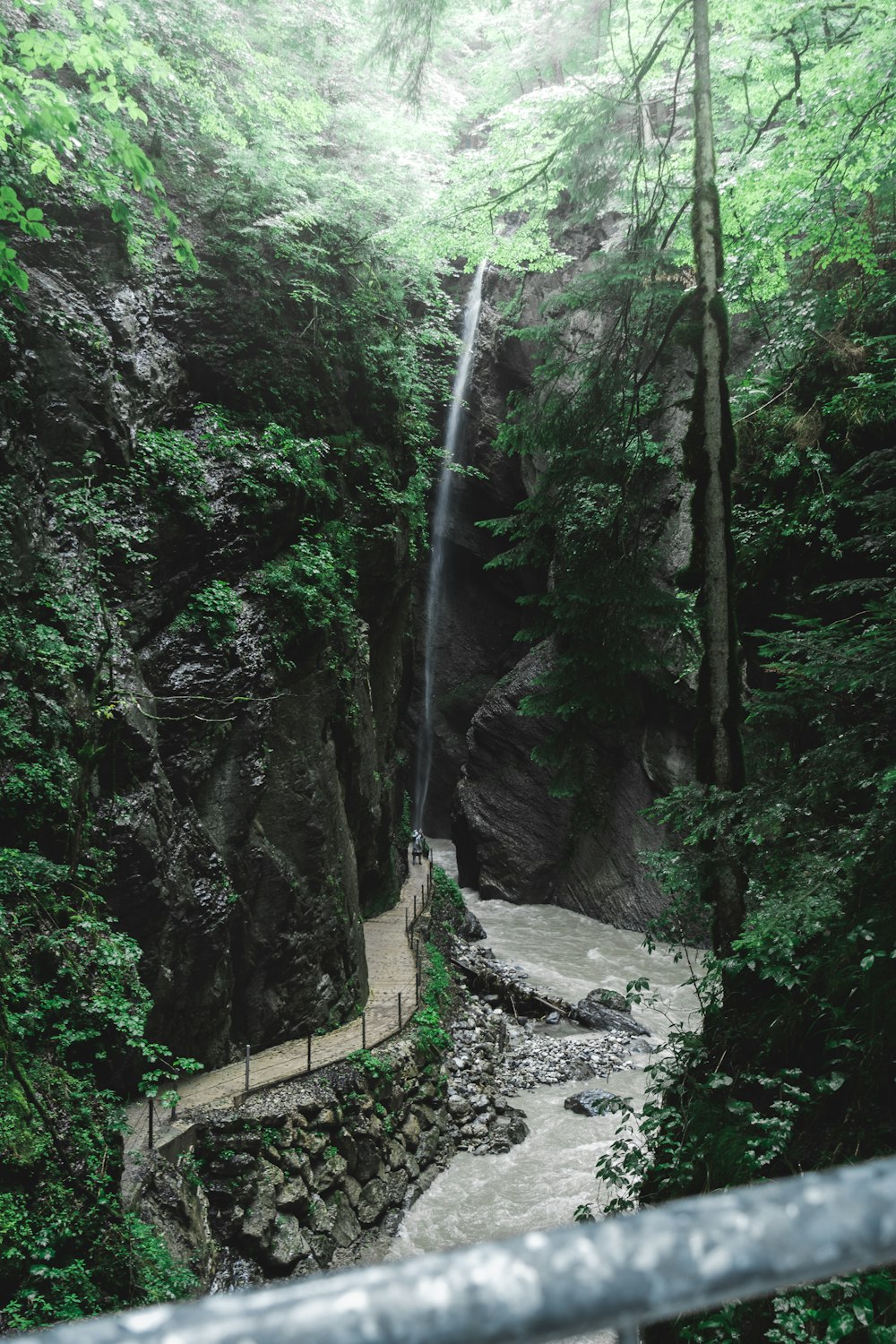 a waterfall in the middle of a forest