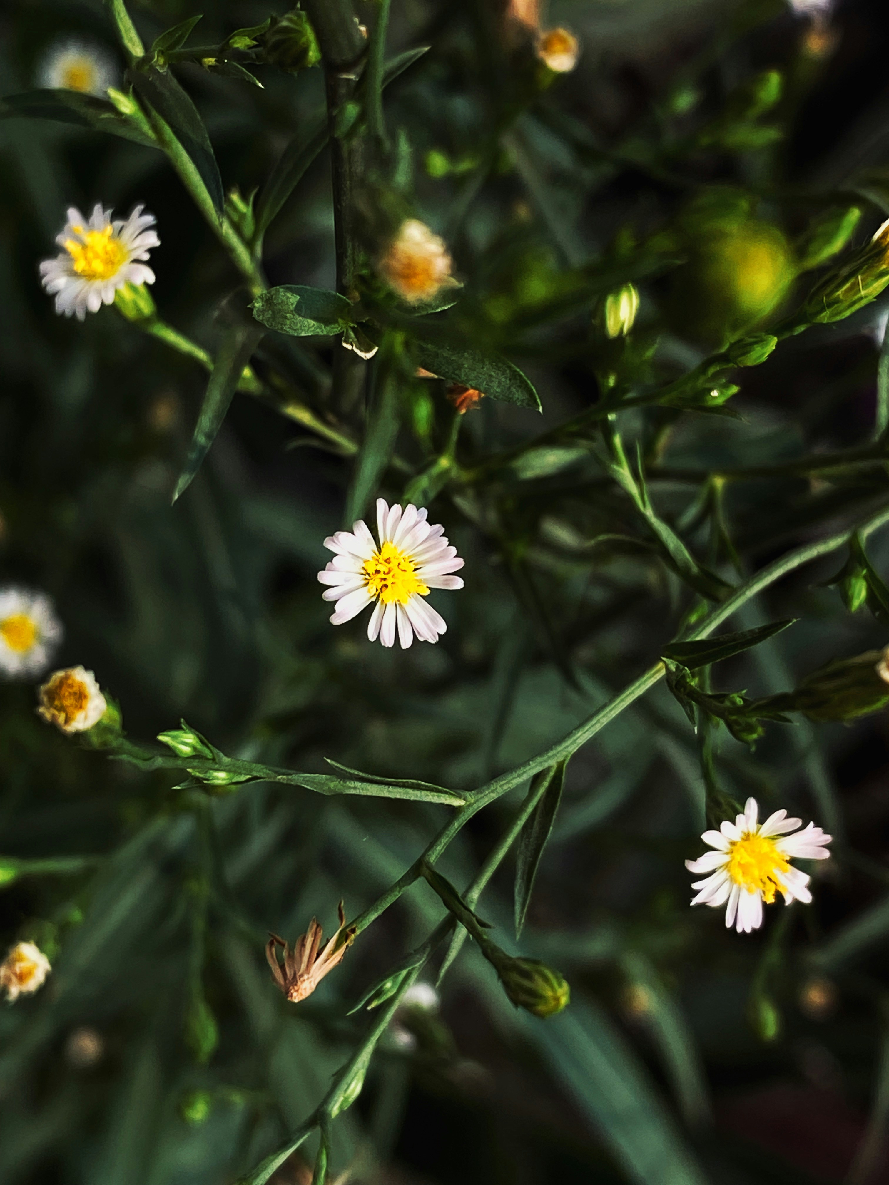 Photo by manahil_mantashah