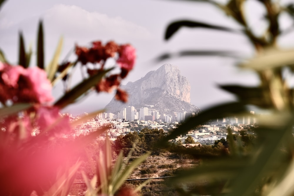 a view of a city with a mountain in the background