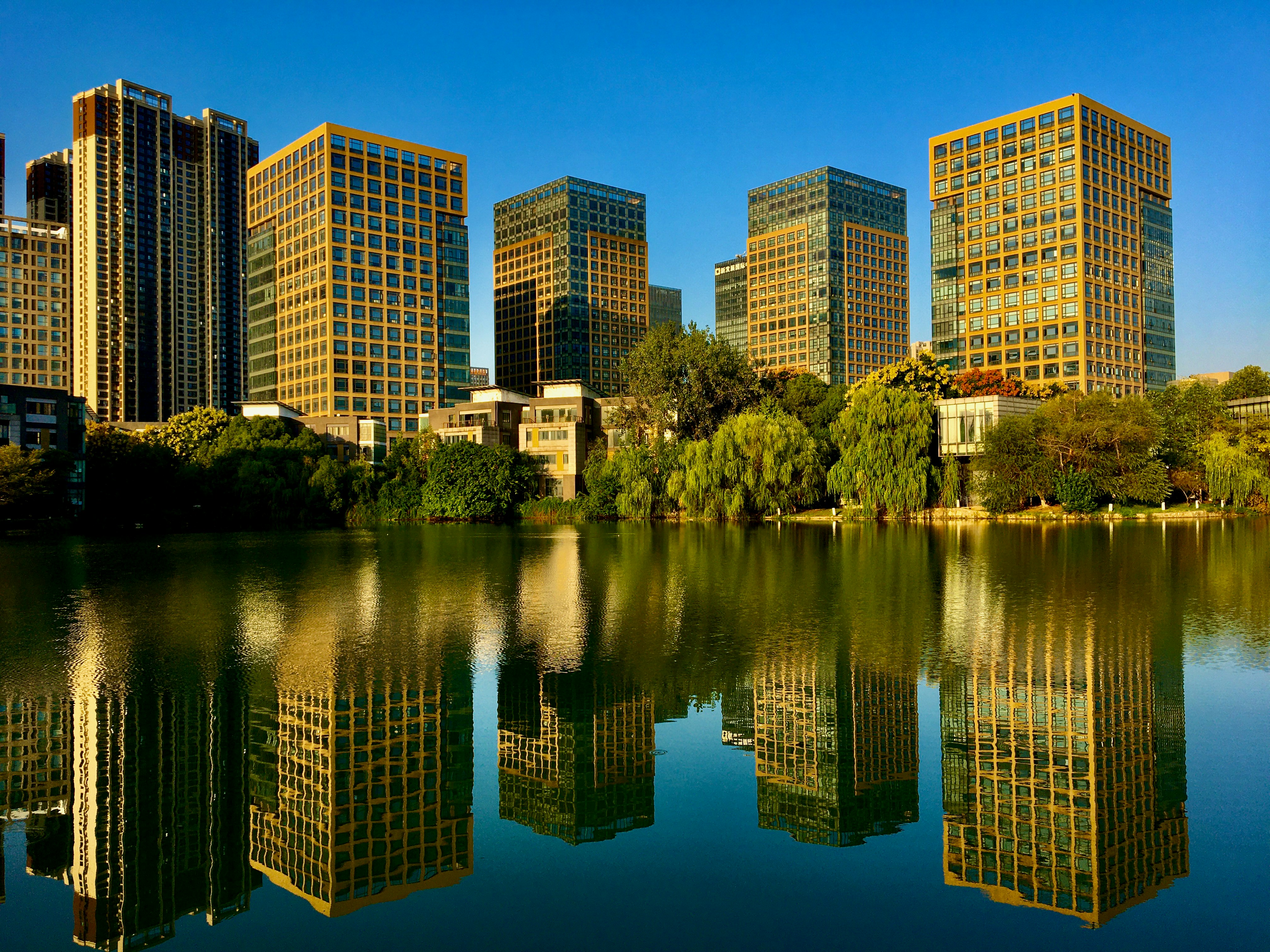 a body of water surrounded by tall buildings