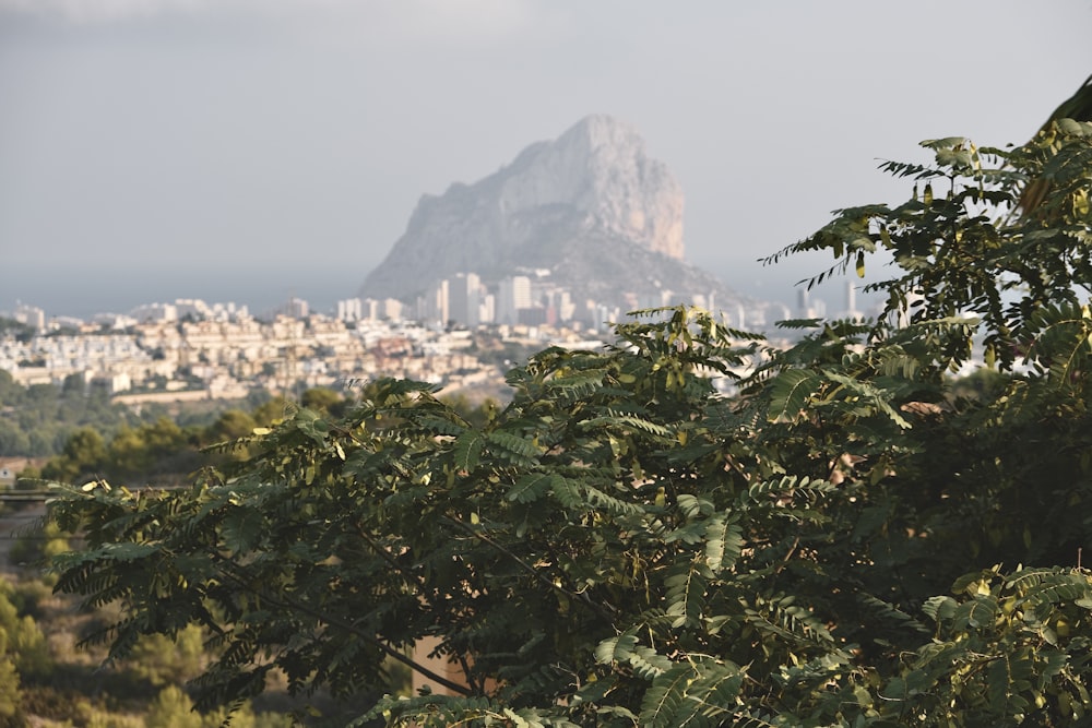 a view of a city with a mountain in the background