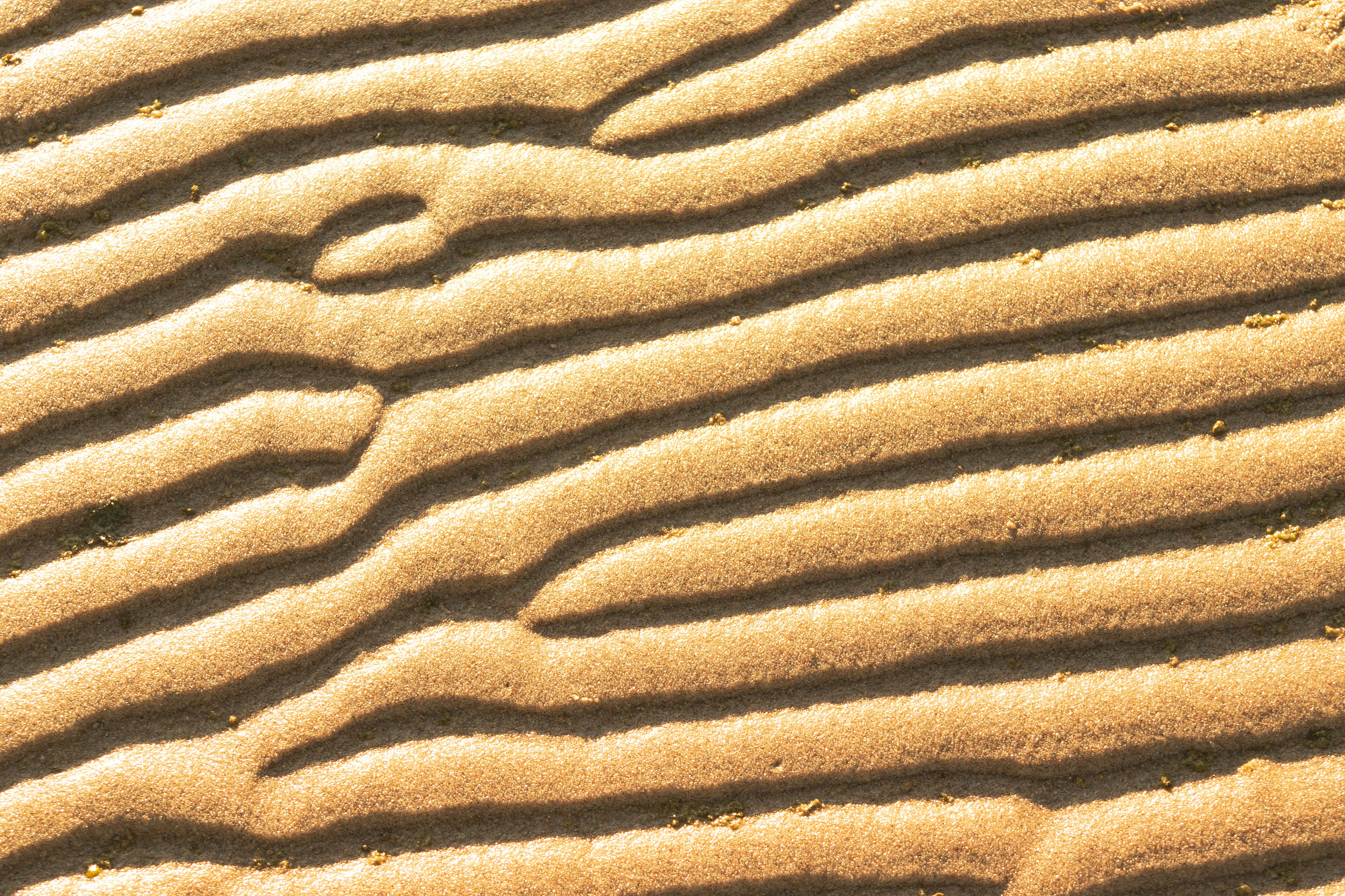 Photo by alpridephoto