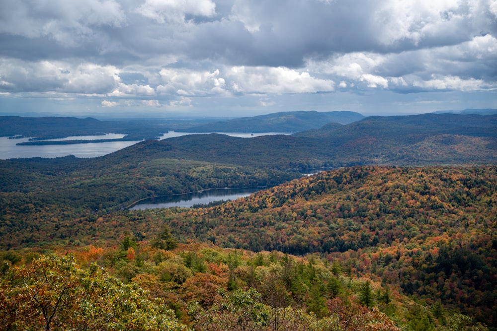 a scenic view of a lake surrounded by trees