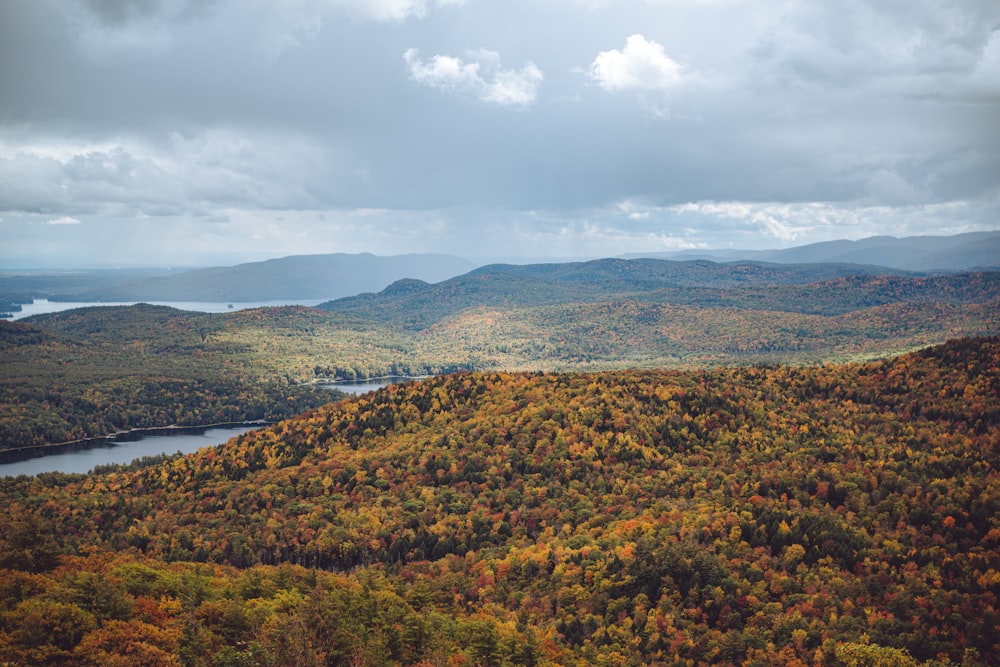 a scenic view of a lake surrounded by trees