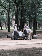 Smiling senior participants engaging in a group exercise session in a sunny park.