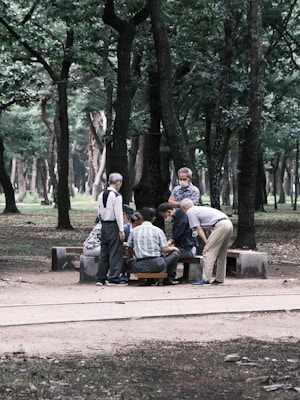 A group of elderly people gather around a table in a park setting, surrounded by tall trees. They seem engaged in a social activity such as a game or discussion. The setting is serene with lush greenery and a pathway in the foreground.